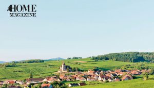 a green view with several houses trees and blue sky