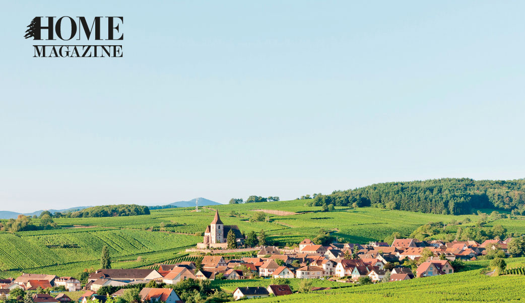 a green view with several houses trees and blue sky