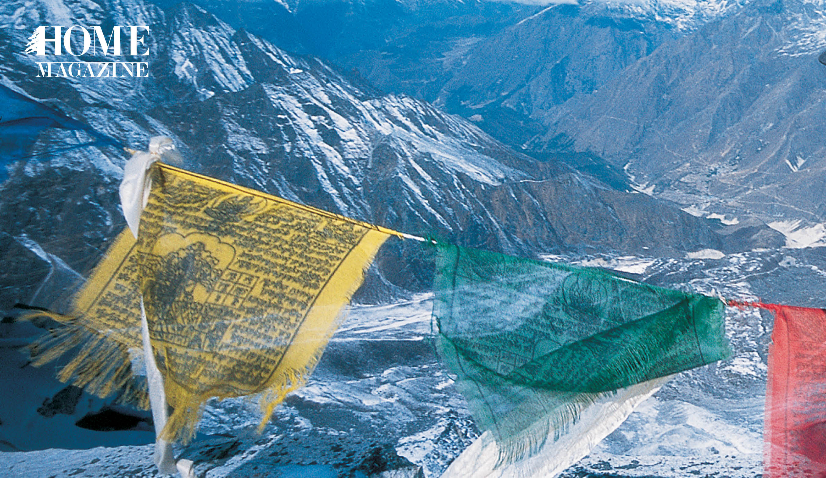 Flags with snow background