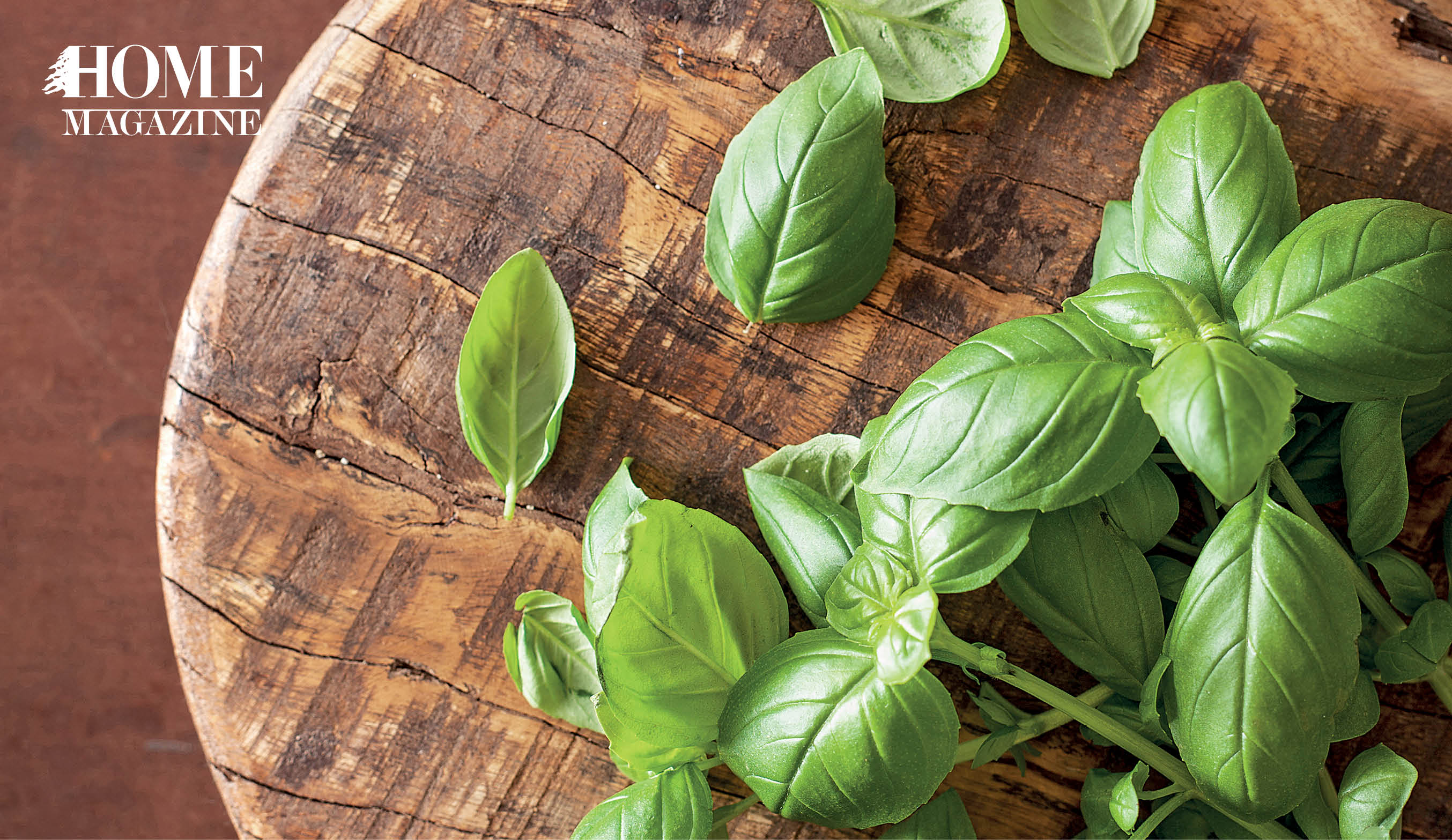 Green leaves on wood platter and scissors