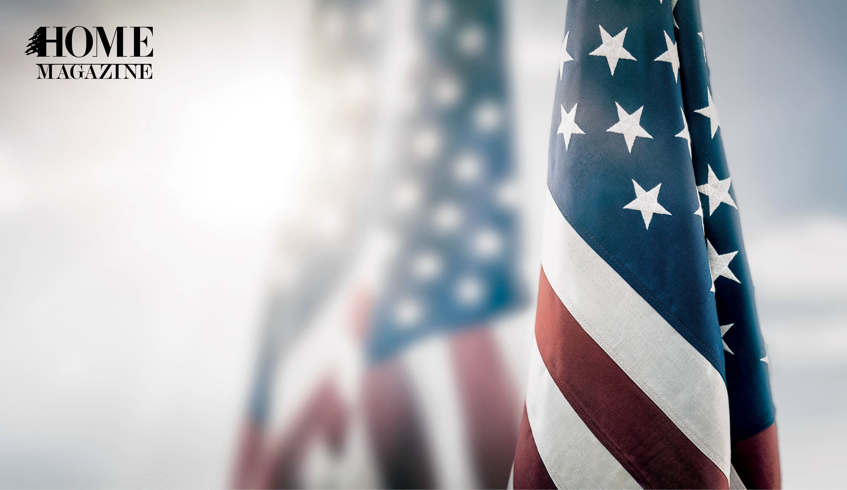 Flag of the United States of America