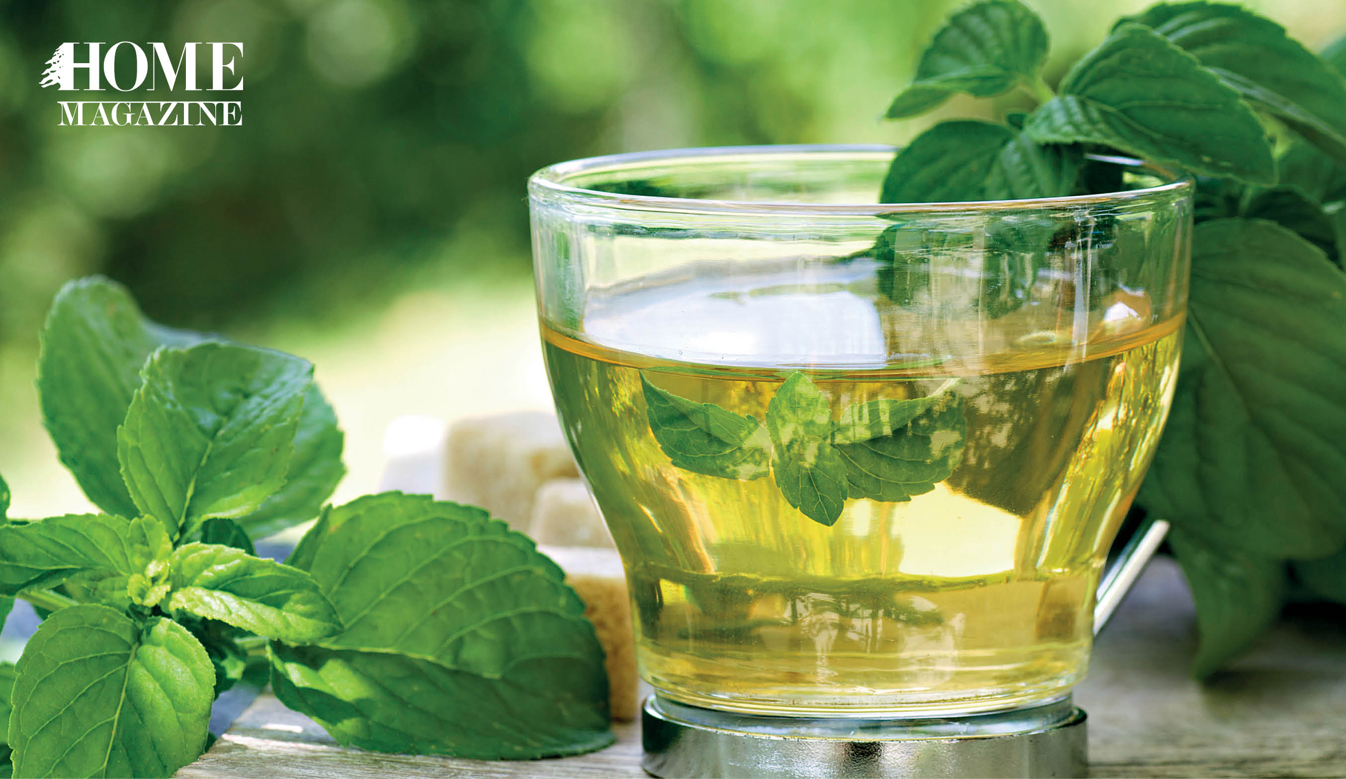 Green leaves and green liquid in cup