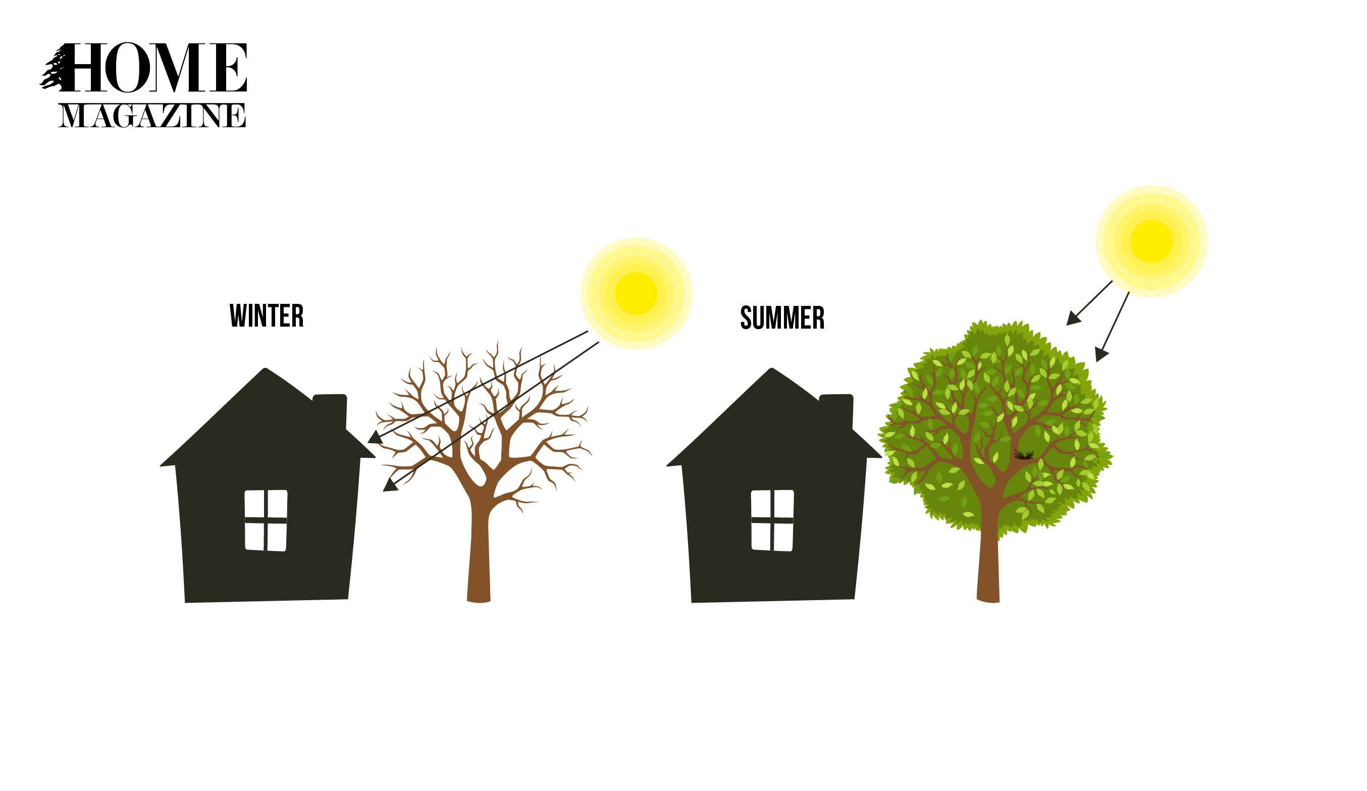 Drawing of a house, a tree and sun