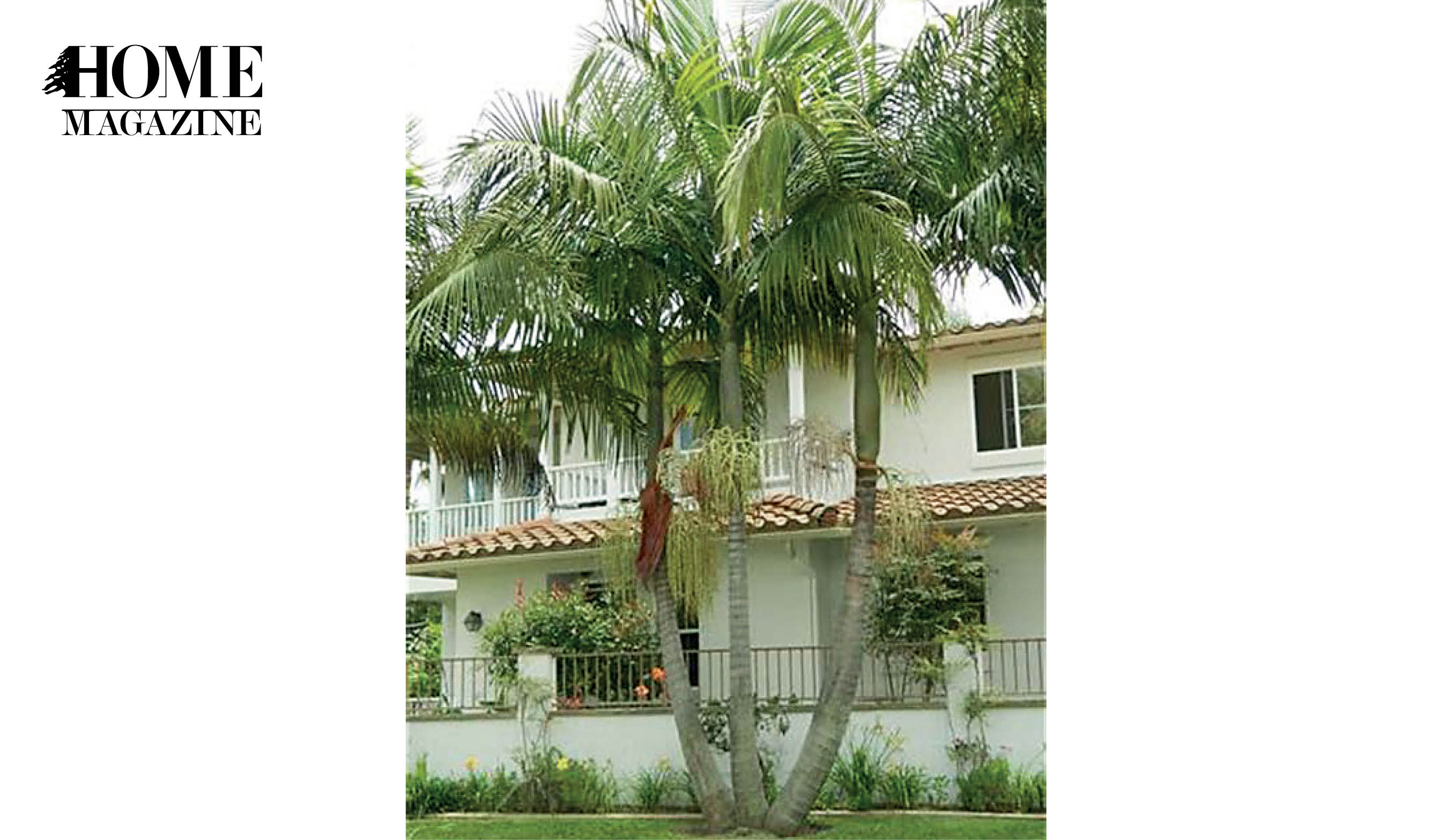 White house with green trees