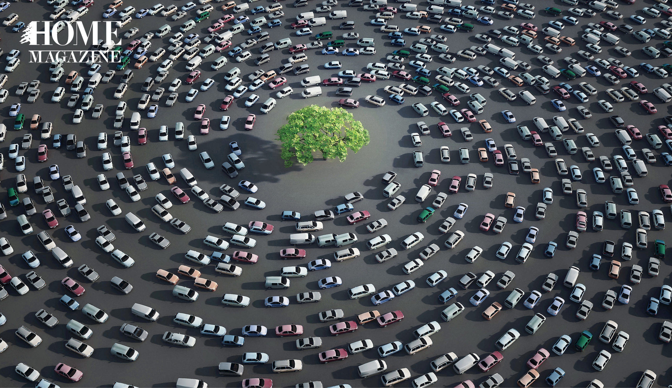 Several cars in a circular direction around a green tree
