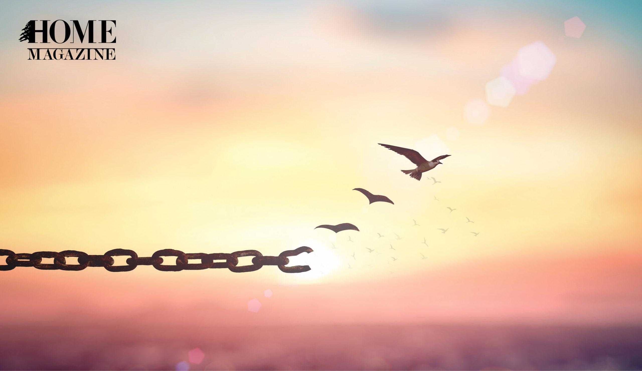 birds flying in the sky that is in sunset time with a chain being opened 