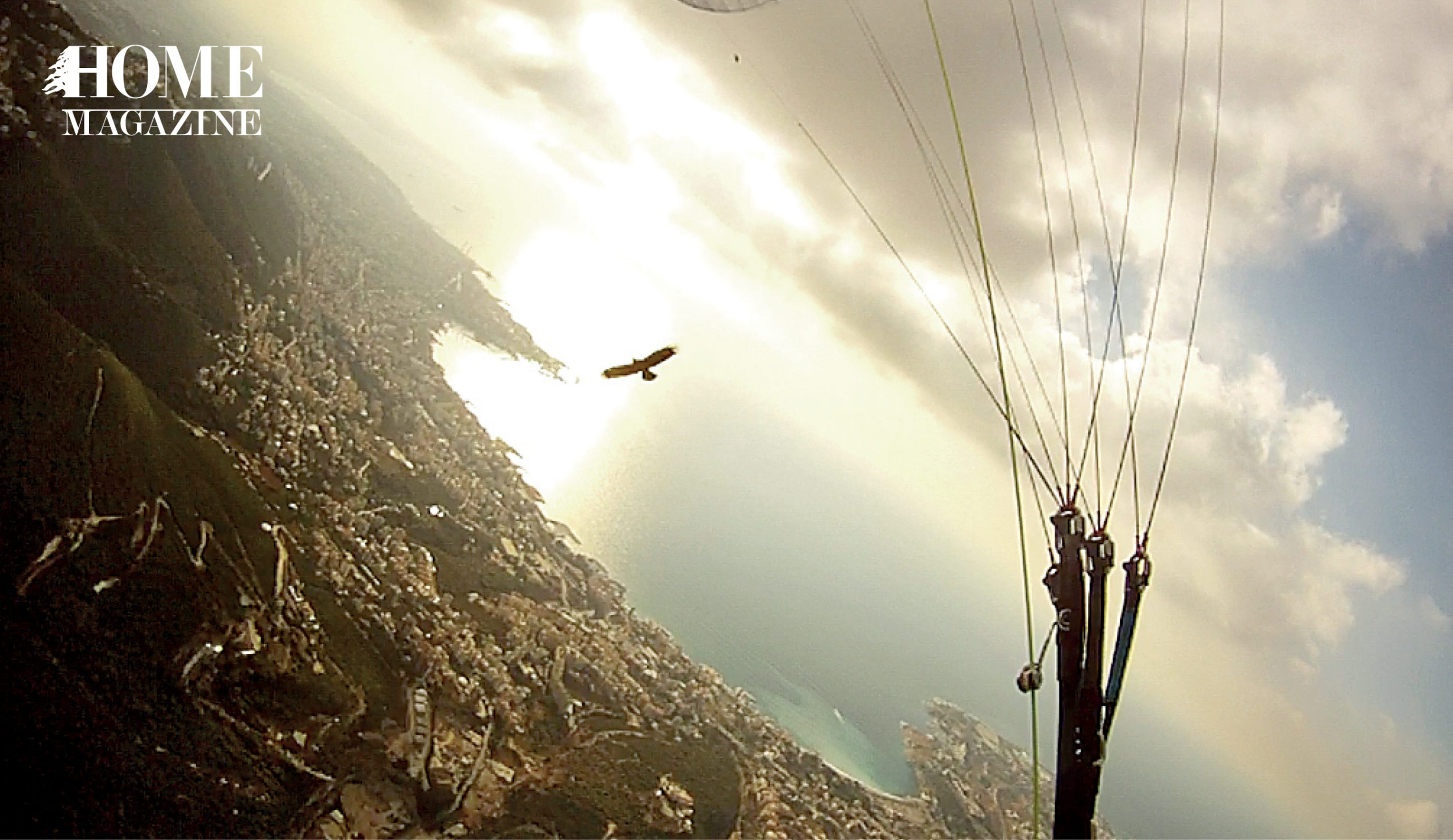 Bird flying with land, sun and sea background