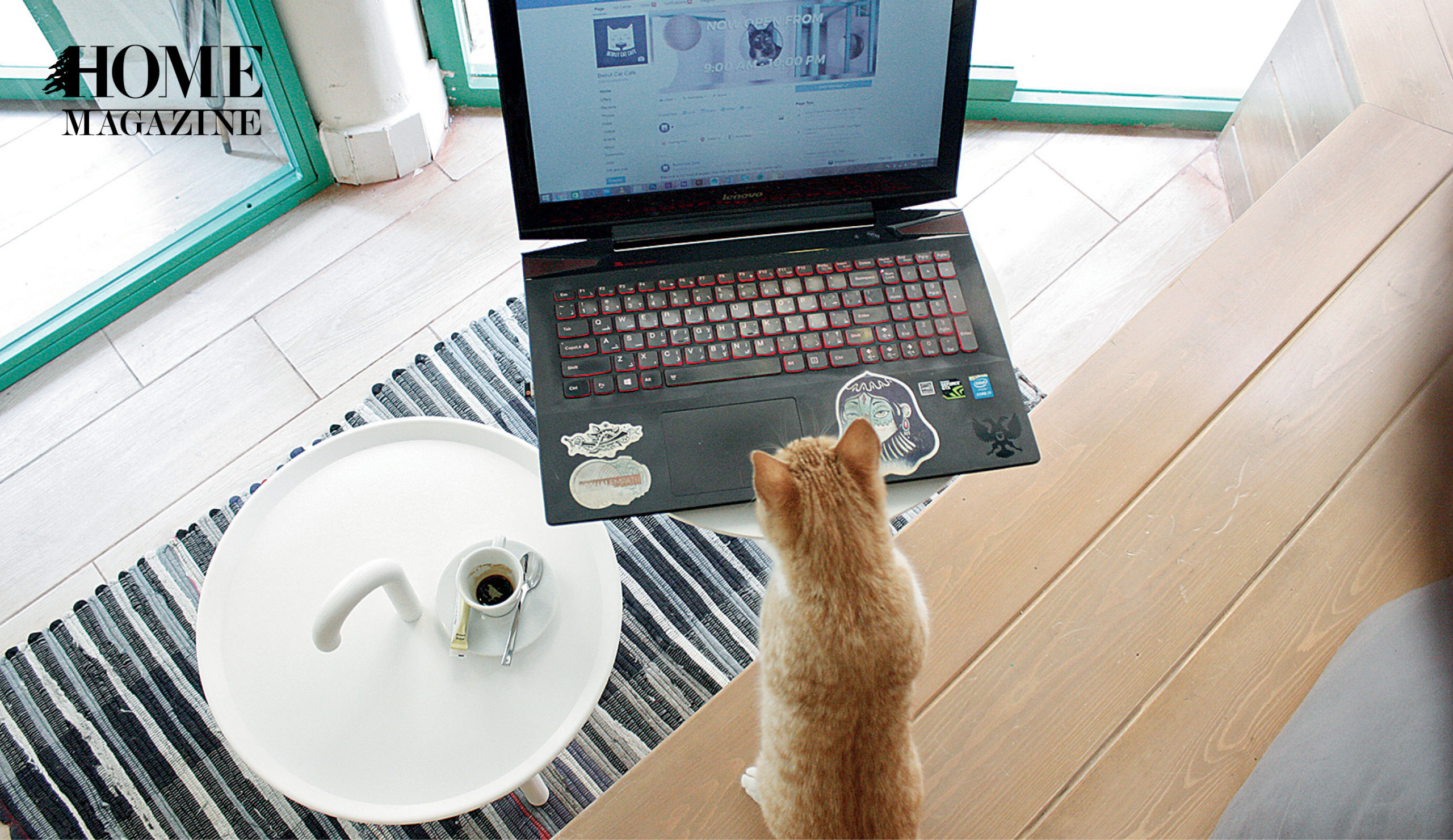 Laptop, coffee cup and a cat