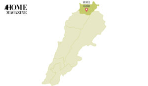 A green map illustration with a highlighted area at top