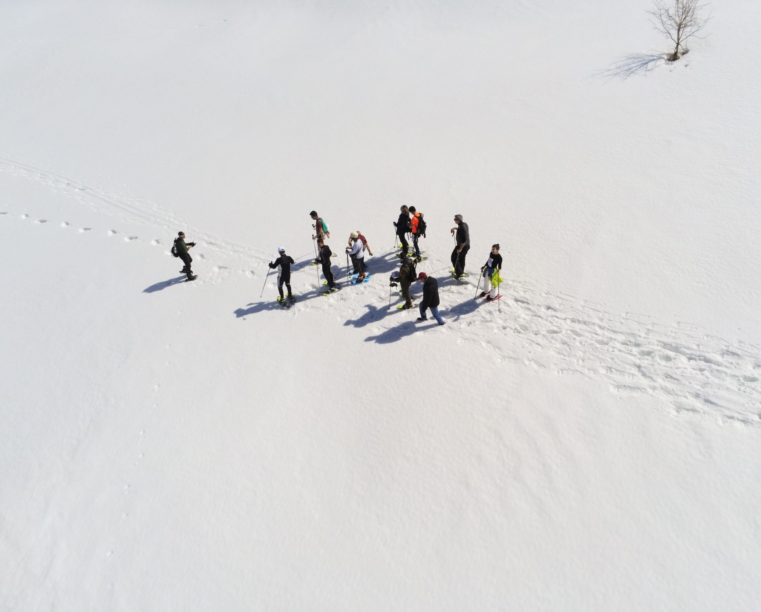 Group of people walking on snow