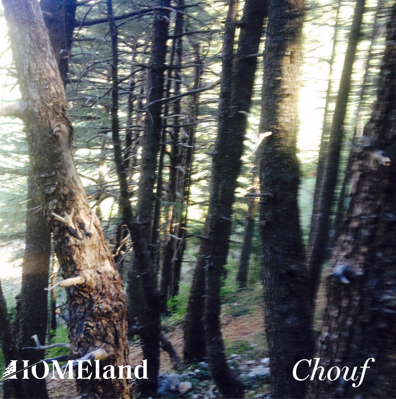 chouf lebanon