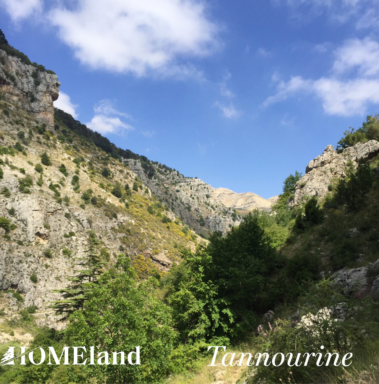 Tannourine Lebanon mountains